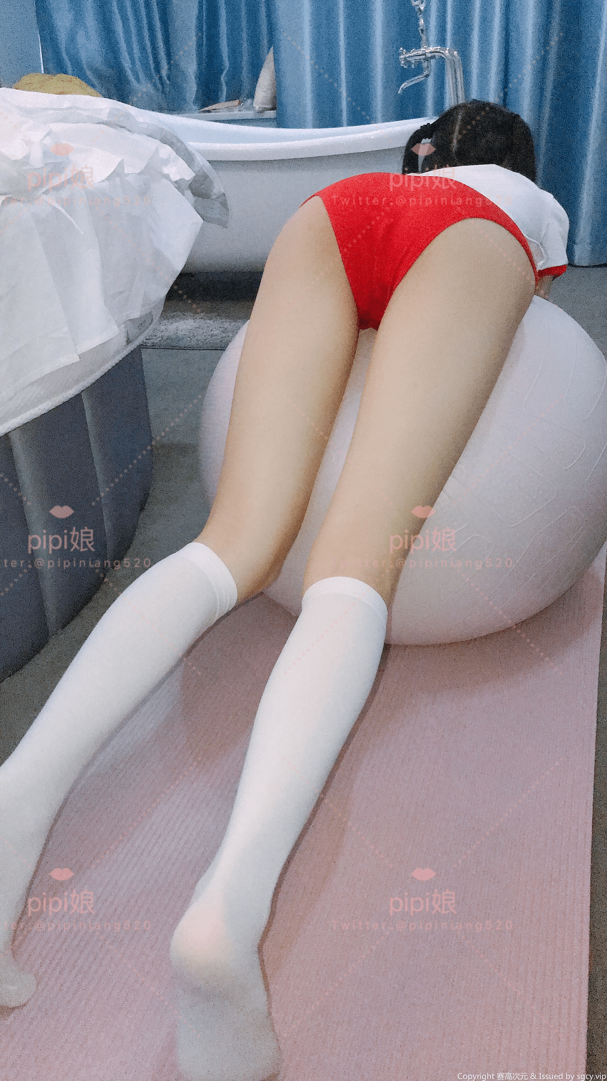 皮皮娘(又又酱)合集收藏版485P/37V/20.8G
