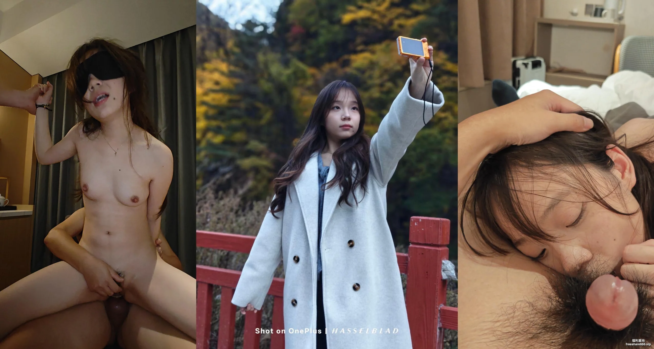独家泄密：江苏极品御姐郑美琪+ 四川辣妹董希辰 西安刘淑华 河南何艺香等5女主6.5G
