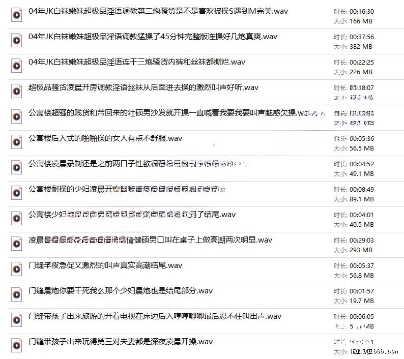 五一假期房内录音笔偷听门缝偷录极品淫叫40V/5.17G