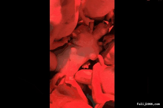 终极绿帽三品老婆被领导,朋友,路人在不同的地方玩娶妻如妓绿帽奴的梦想847M-253P+266V