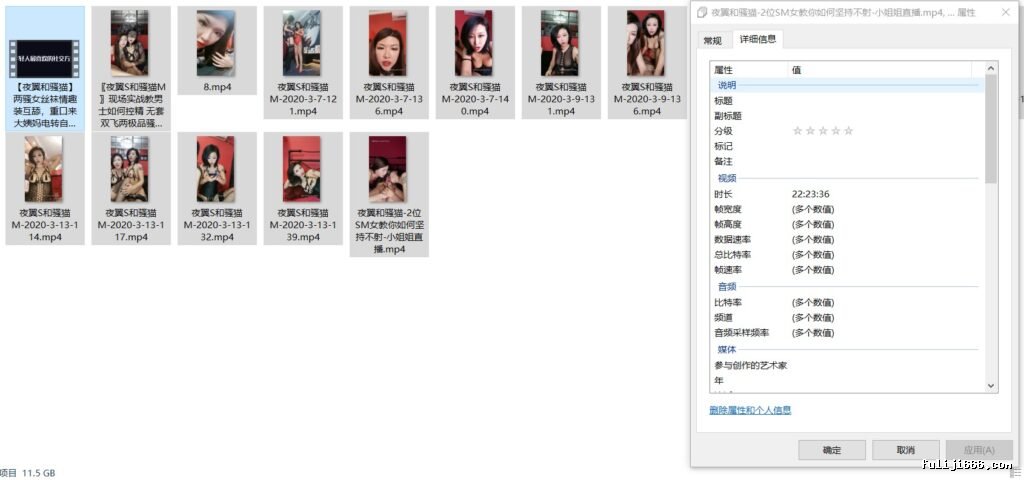 大连上校女王-夜翼S和骚猫M控精调教合集
