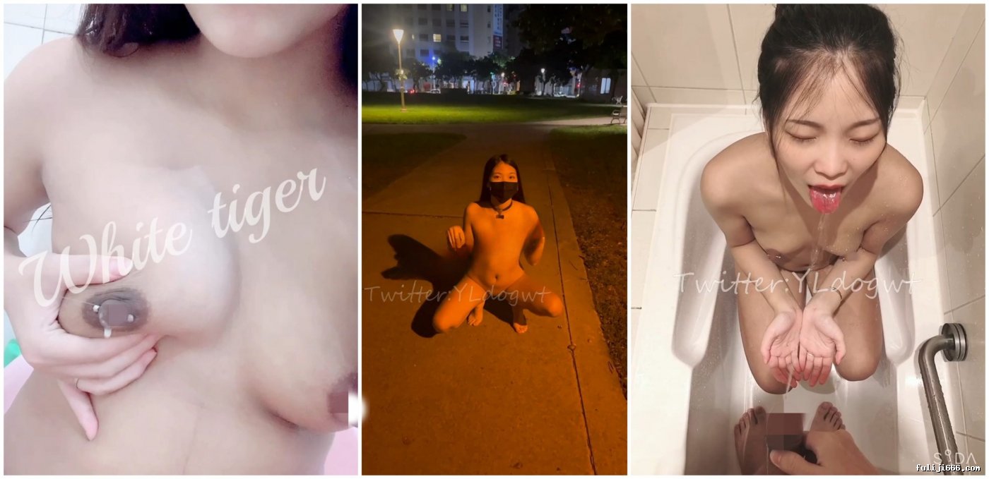 推特母狗YLdogwt乳汁3P深渊巨穴尿脸狗链调教108V/29P/2.46G