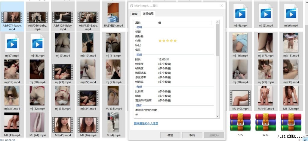 梦杰的反差婊骚母狗93V/73G