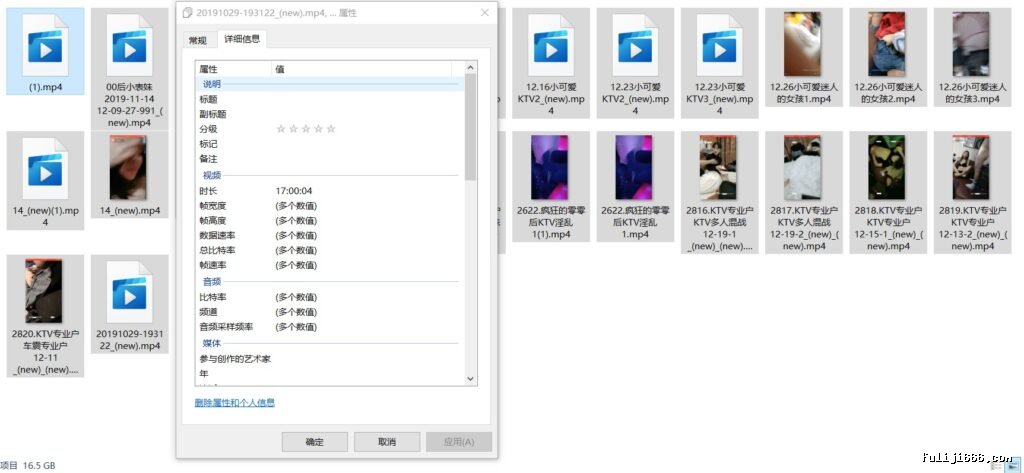 00后KTV做爱专业户25V/16.6G