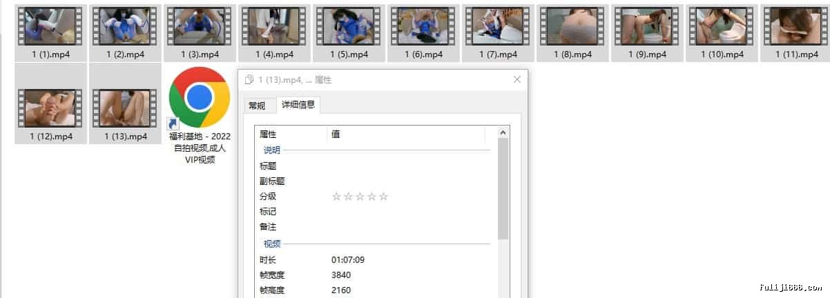 臀控福利人气自拍大神捅主任高清完整版合集第五弹12V/13.2G