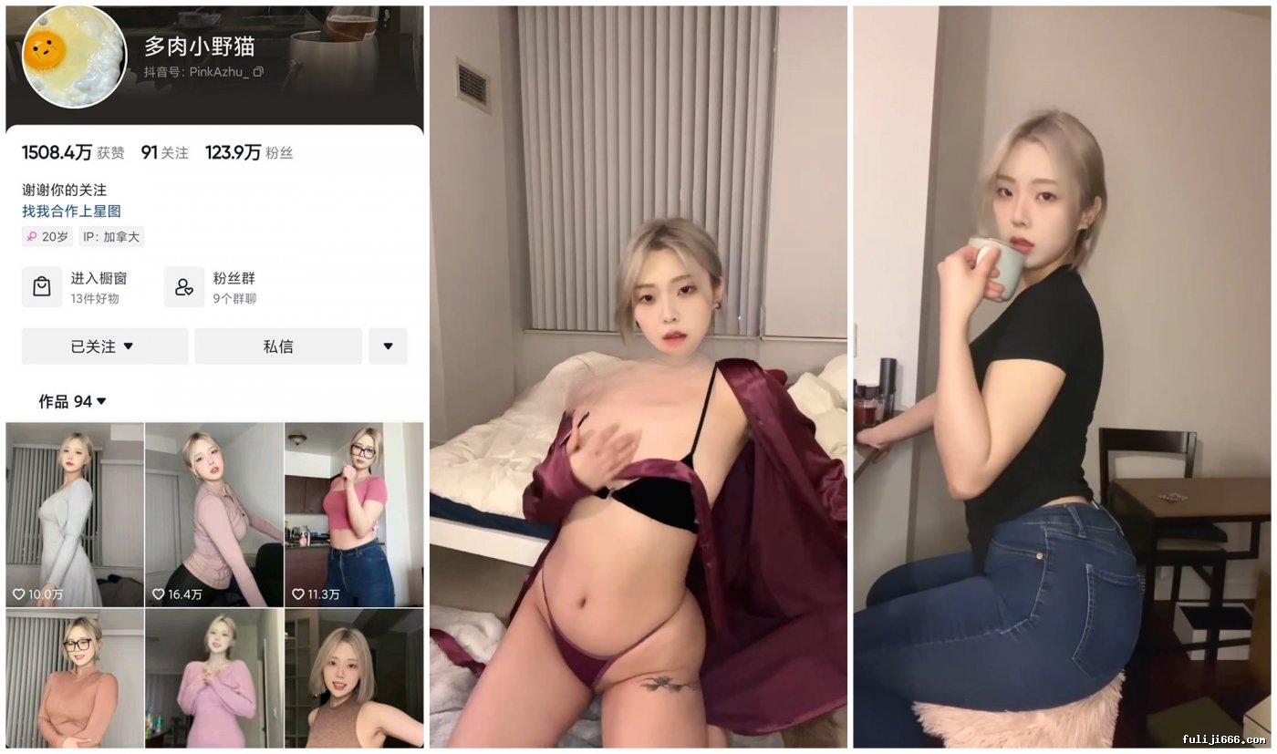 新晋网红多肉小野猫VIP订阅微密圈骚舞福利319M