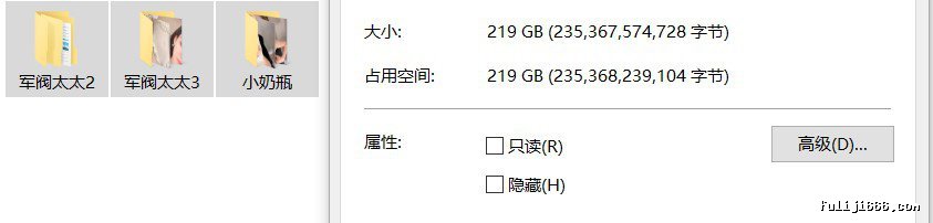 军阀太太合集294V/219G